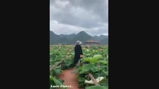 دیدنیهای جالب