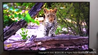 قیمت تلویزیون سونی 65X9000H