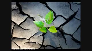 دستاوردهای تاب آوری