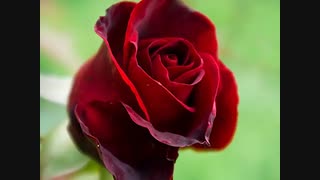 استاد غفاری ، کسانی که ترس دارید اگر توبه کنیم گذشته پاک نمیشود