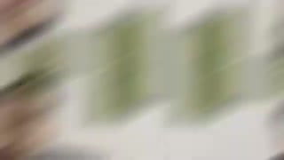 مسیر مهاجرتتو انتخاب کردی؟