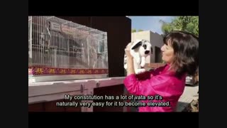 [Step 2) REPEAT Vata Imbalance How To Balance Your Dosha [Ayurvedic Tips