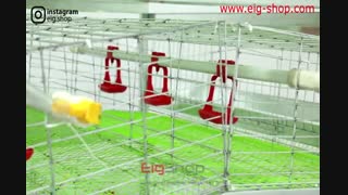 قفس بلدرچین تخمگذار