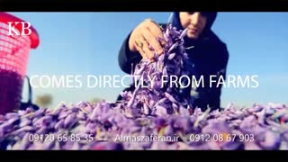 قیمت عمده زعفران چقدر است؟