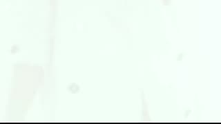 عطر و  ادکلن باربری بریت مردانه Burberry Brit Men - خوش آرا