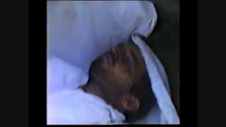 پیکر شهید احمد عدالتجو