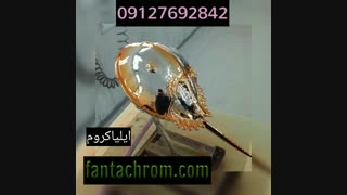 فانتاکروم ایلیا