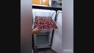 دستگاه آلو خشک کن مینی پلاس آراد ماشین