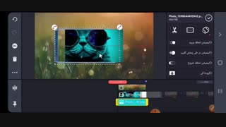 آموزش قرار دادن ویدیو در قاب موبایل