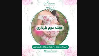 هفته دوم بارداری