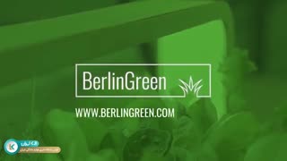 هفت گجت جالب و جذاب ایفا 2020