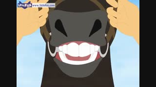 little fox_black beauty2