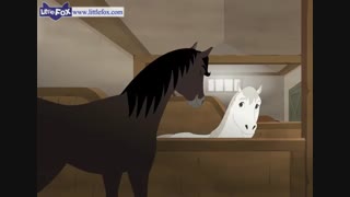 little fox_black beauty3