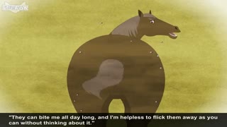 little fox_black beauty7