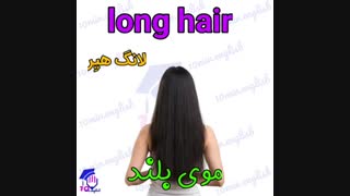 لغات ضروری روزانه در مورد انواع مو