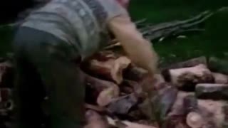 ییلاق سیاهمزگی ،