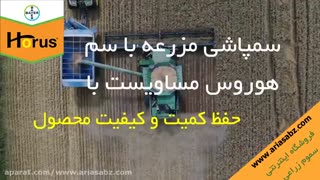 Horus سم قوی و تخصصی ریشه کن کننده علف های هرز گندم | هوروس
