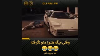 گرگ وال استریت