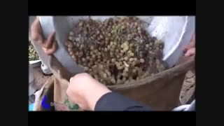 دوشاب یا شیره انگور