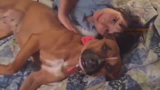 FUN CHALLENGE: Try NOT to laugh - Funny & cute dogs and kids