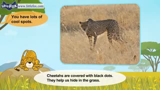 little fox_meet the animals4