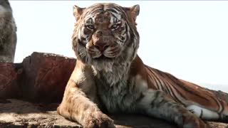 پشت صحنه دوبلاژ نبرد گرگ و ببر در کتاب جنگل ، صداپیشه (دوبلور) مجید حبیبی  Majid Habibi Iranian voice actor