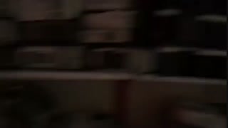 تست تصویرعالی اپسون Epson X11