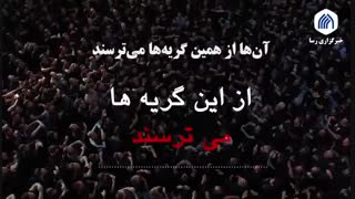 از همین گریه‌ها می‌ترسند