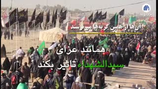 از همین گریه‌ها می‌ترسند | بخش دوم