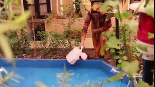 اقامتگاه بومگردی خانه خشتی یزد