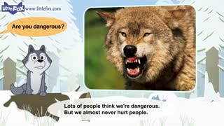 little fox_meet the animals6