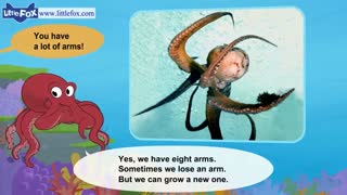 little fox_meet the animals9