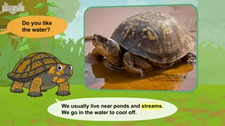 little fox_meet the animals20