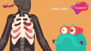 دکتر باینو - استخوان ها - Bones (اپلیکیشن خاله قزی)