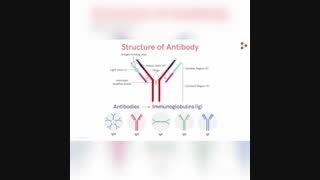 شرکت آراز شیمی گستر فروشنده انواع آنتی بادی