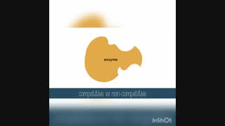 شرکت آراز شیمی گستر وارد کننده انواع آنزیم های آزمایشگاهی