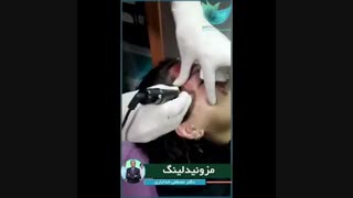 فیلم مزونیدلینگ صورت