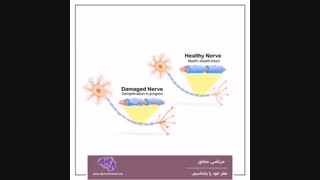 مغز خود را بشناسیم - قسمت یازدهم