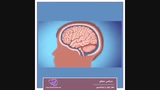 مغز خود را بشناسیم - قسمت سیزدهم