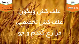 سم علف کش ویگون، علف کش اختصاصی مزارع گندم و جو
