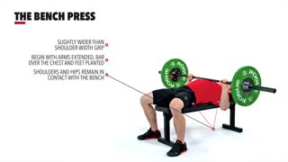 حرکت بنچ پرس (یا پرس سینه) The Bench Press