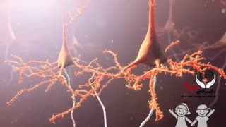 فیلم تشنج مغزی