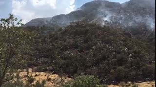 اتش سوزی کوه پیره روستای جونگان