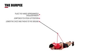 حرکت برپی The Burpee