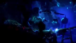 تریلر معرفی بازی Ori and The Will of The Wisps برای نینتندو سوییچ