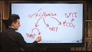 محصولات کربس - استاد آرمان اربابی-زیست-رایا آکادمی جراحی زیبایی پلک