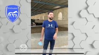 فیلم رضایت از کیفیت خوراک دام و طیور مهرادان