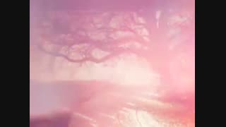 کلیپ دکلمه باغ خزان از مهرشاد علیزاده