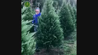 طراحی و اجرای فضای سبز شرکت ترمه سبز طبیعت