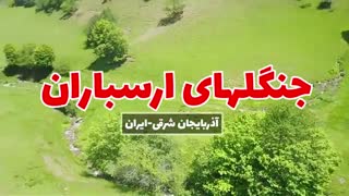 جنگل های ارسباران | هر آنچه باید از سفر به این منطقه بدانید